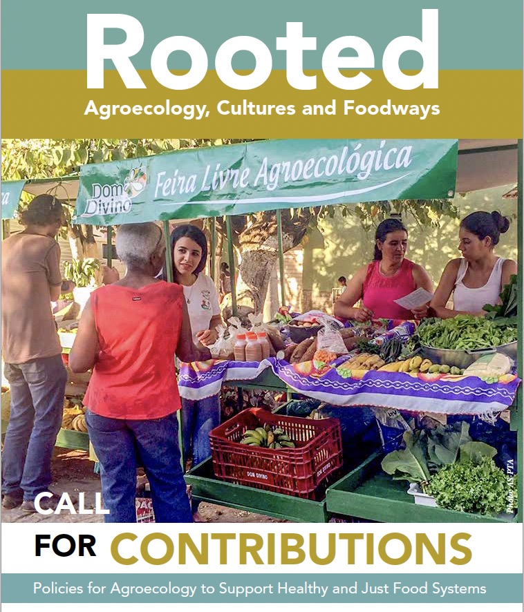 Call for Contributions: Policies for Agroecology to Support Healthy and Just Food Systems