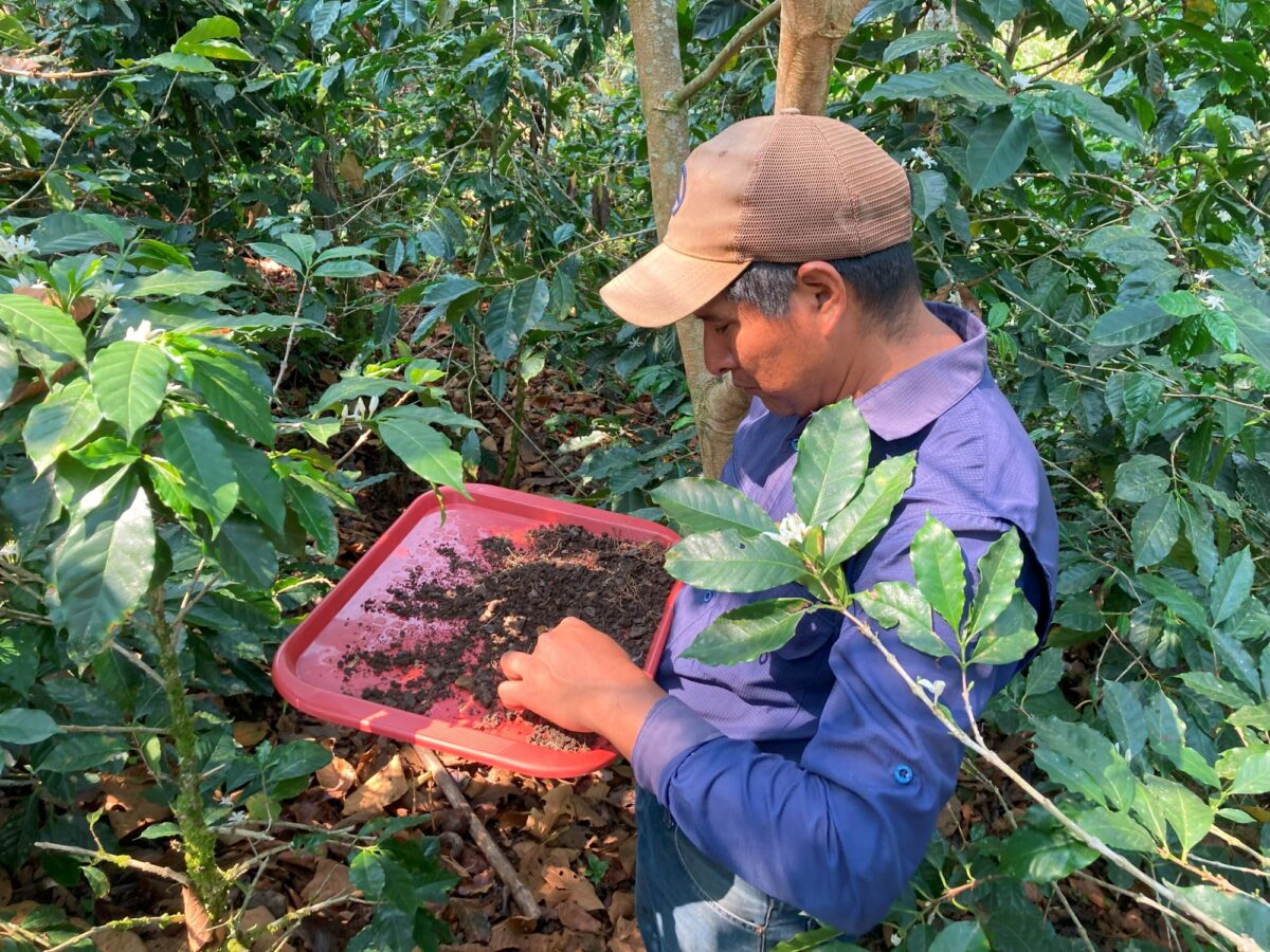 Update from the Field: Soil analysis in the coffee plots
