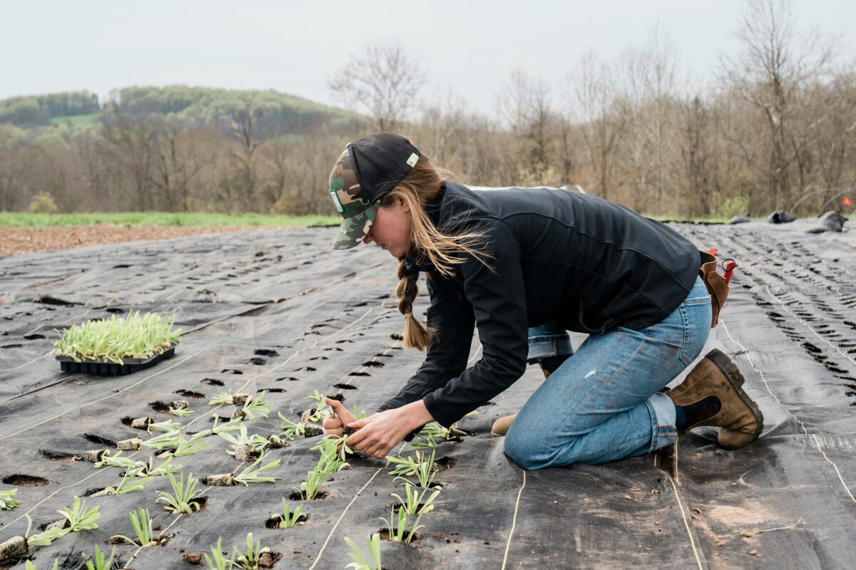 Agroecology Extension (AX) Summer Research Fellowship