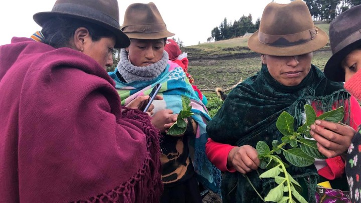 Article in Nature Food Published, Featuring University of Vermont’s Institute for Agroecology Co-Directors/Professors￼