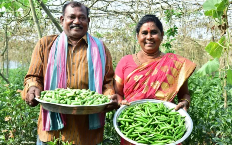 Andhra Pradesh Community-Managed Natural Farming (APCNF) is studying the true costs and benefits of natural farming against other counterfactual farming methods by measuring all major economic, social, and health impacts.