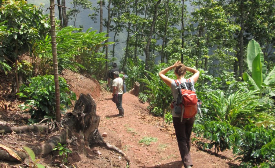 PSS grad student, Dana Christel, and local producer returning from a cooperative-run field class on soil conservation in a renovated coffee parcel in Nueva Primavera (Barillas, Huehuetenango, Guatemala). Photo: Andrew Gerlicz