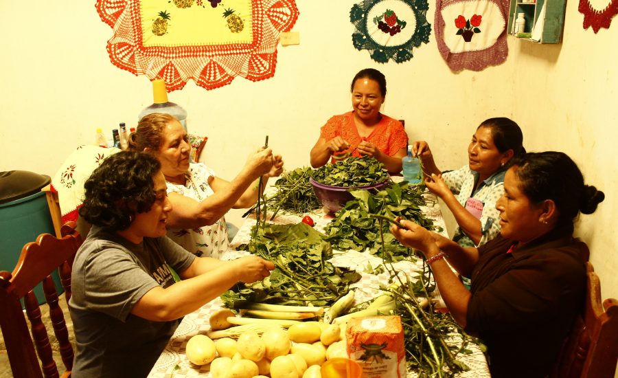 Women cooking traditional food with local ingredients in Laguna del Cofre, Mexico, as part of the activities of a learning exchange among farmers and research partners from Mexico, Nicaragua, and the US (2019). Photo: Alejandra Guzmán Luna