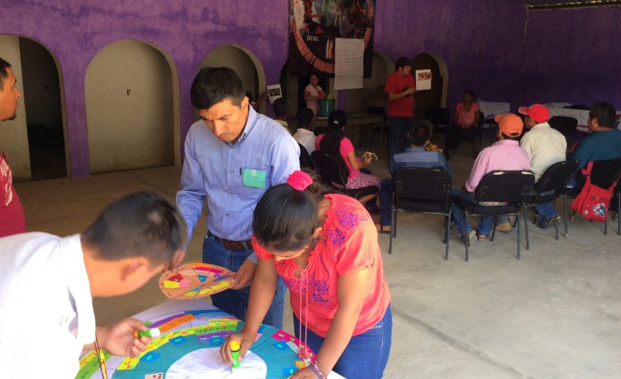 A focus group around a circular agricultural calendar in Matazanos, Chiapas, Mexico (2018). Photo: Janica Anderzén