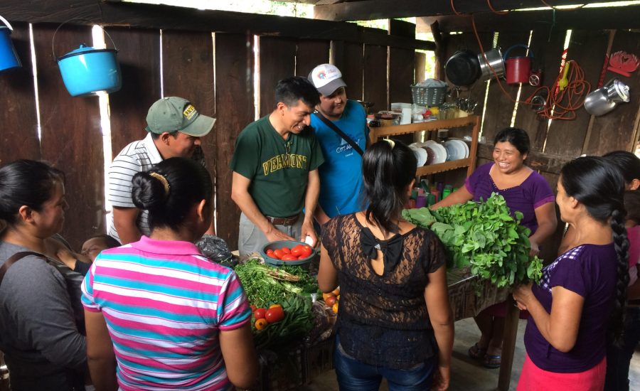 A focus group around the uses and benefits of wild foods in Zapata, Chiapas, Mexico (2018). Photo: Janica Anderzén