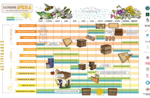 beekeeping calendars