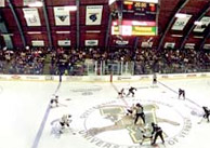 Fans watch a hockey game