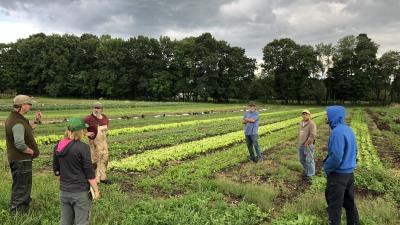 Farmers discussing new approaches to reduced tillage
