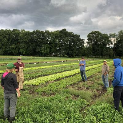 Farmers discussing new approaches to reduced tillage
