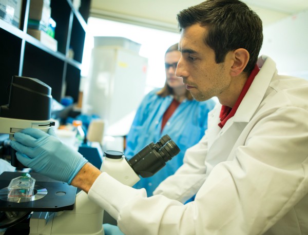 Dimitry Krementsov Lab