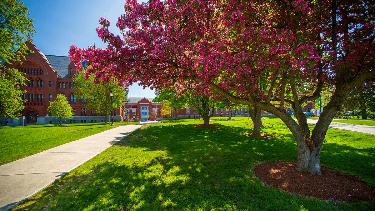Undergraduate Admissions