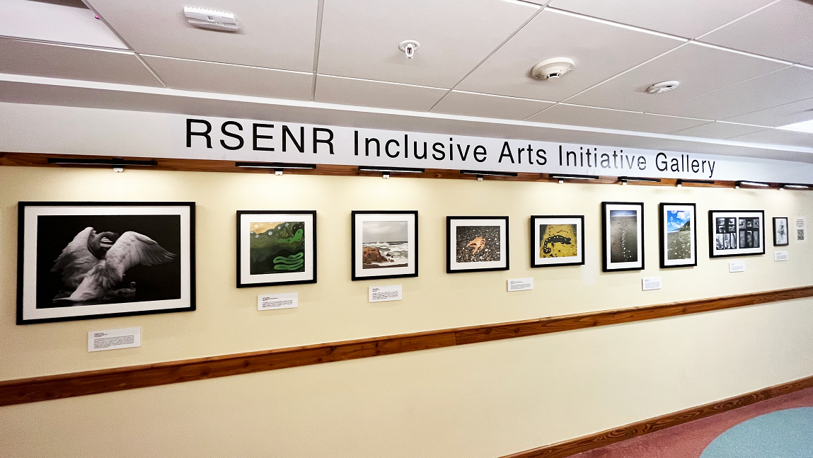 The RSENR Inclusive Arts Initiative Gallery on the first floor of the Aiken Center - nine pieces of art hung on a well-lit wall