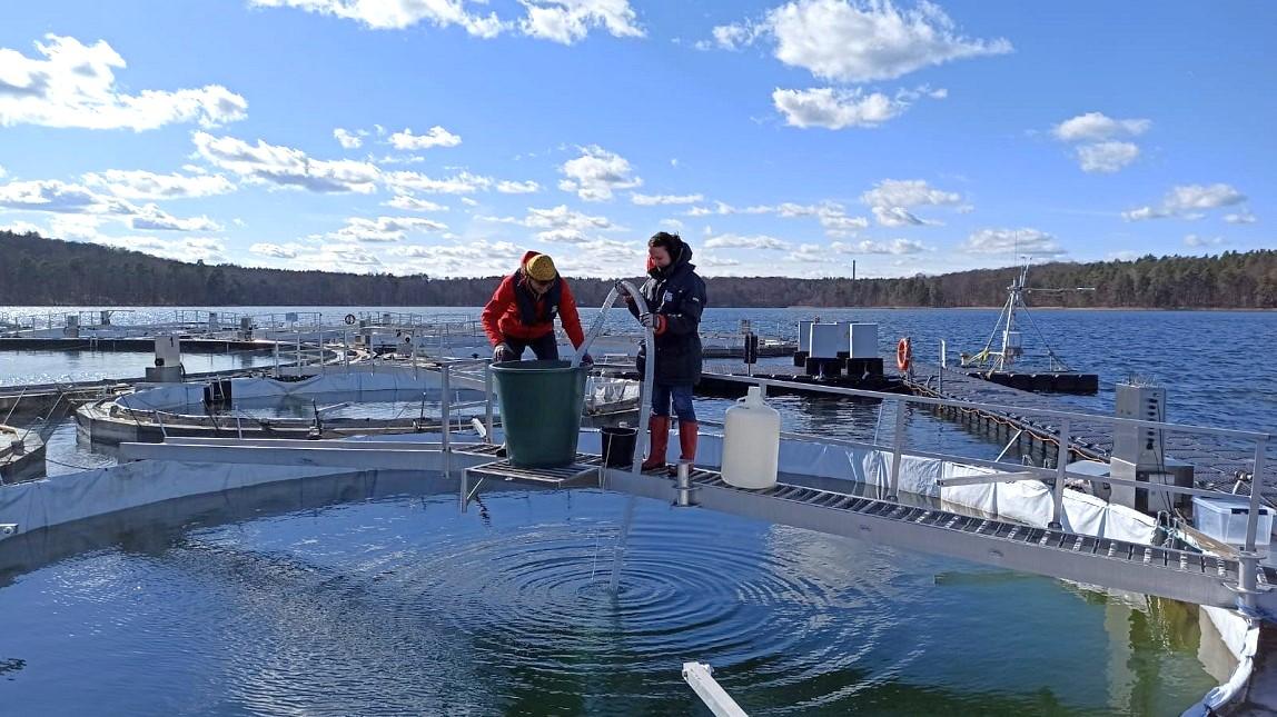 Researchers taking zooplankton samples at the LakeLab