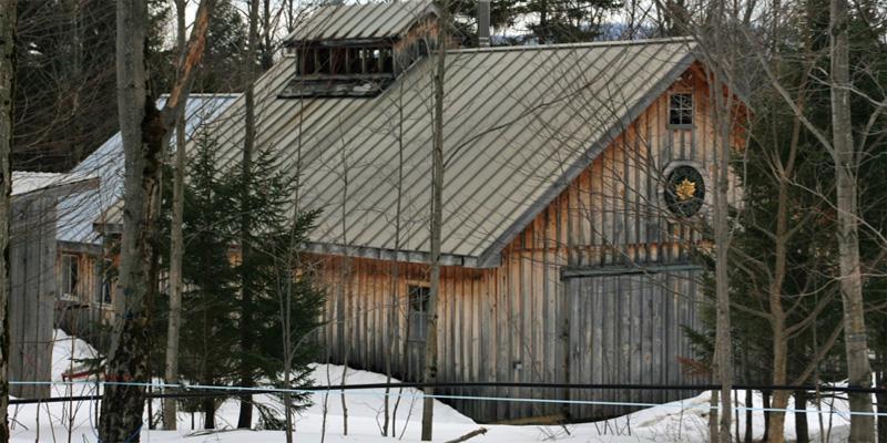 UVM Proctor Maple Research Center to Provide Pure Maple Syrup to UVM Dining