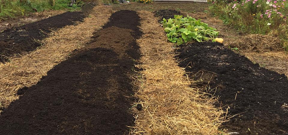 Thinking About a Raised Bed Garden
