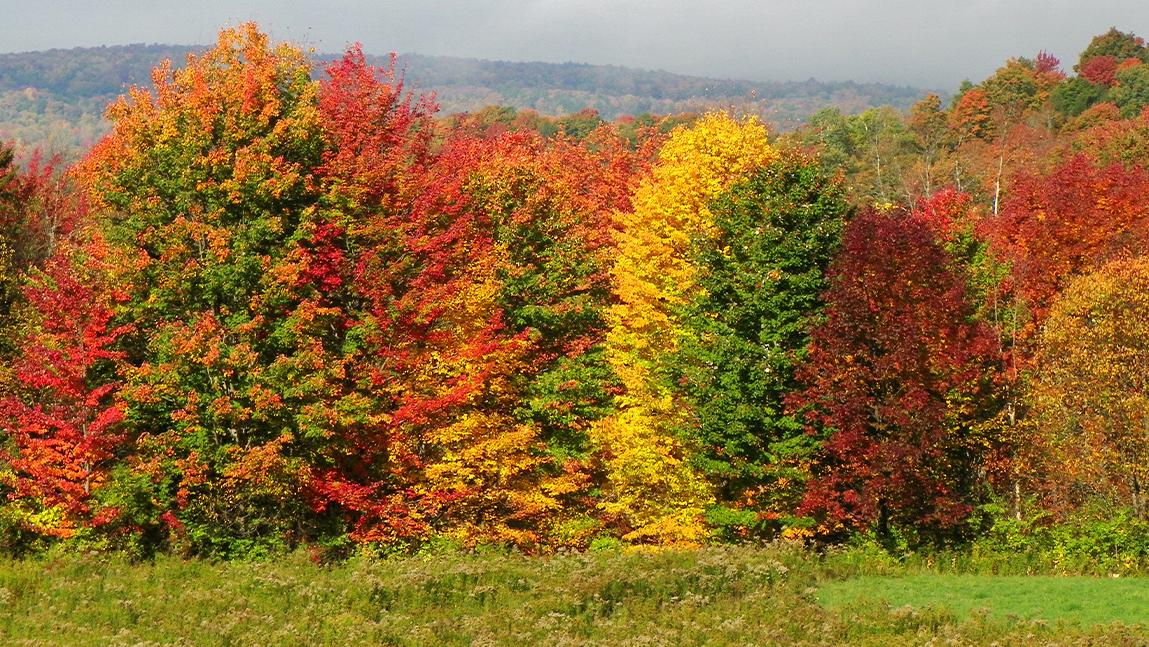 Call for Proposals Open for Global Agritourism Conference