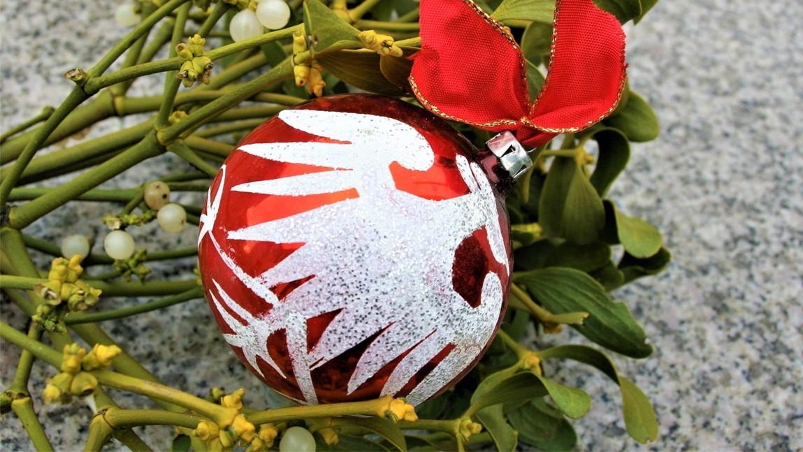What S The Romance With Mistletoe