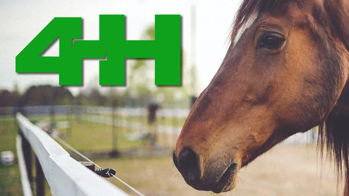 Addison County 4H Holds Horse Quiz Bowl