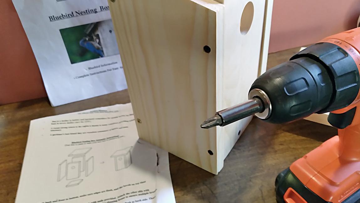 Building a Bluebird House