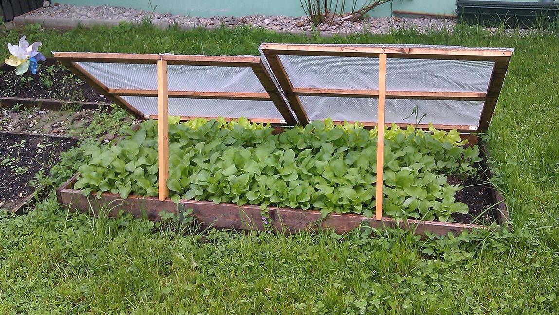 Start Your Garden Early With Cold Frames