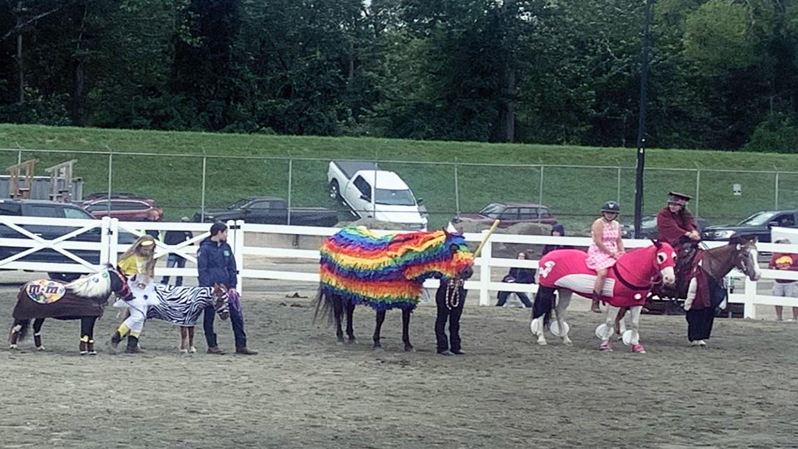 4-h-ers-rack-up-wins-at-big-e-horse-events