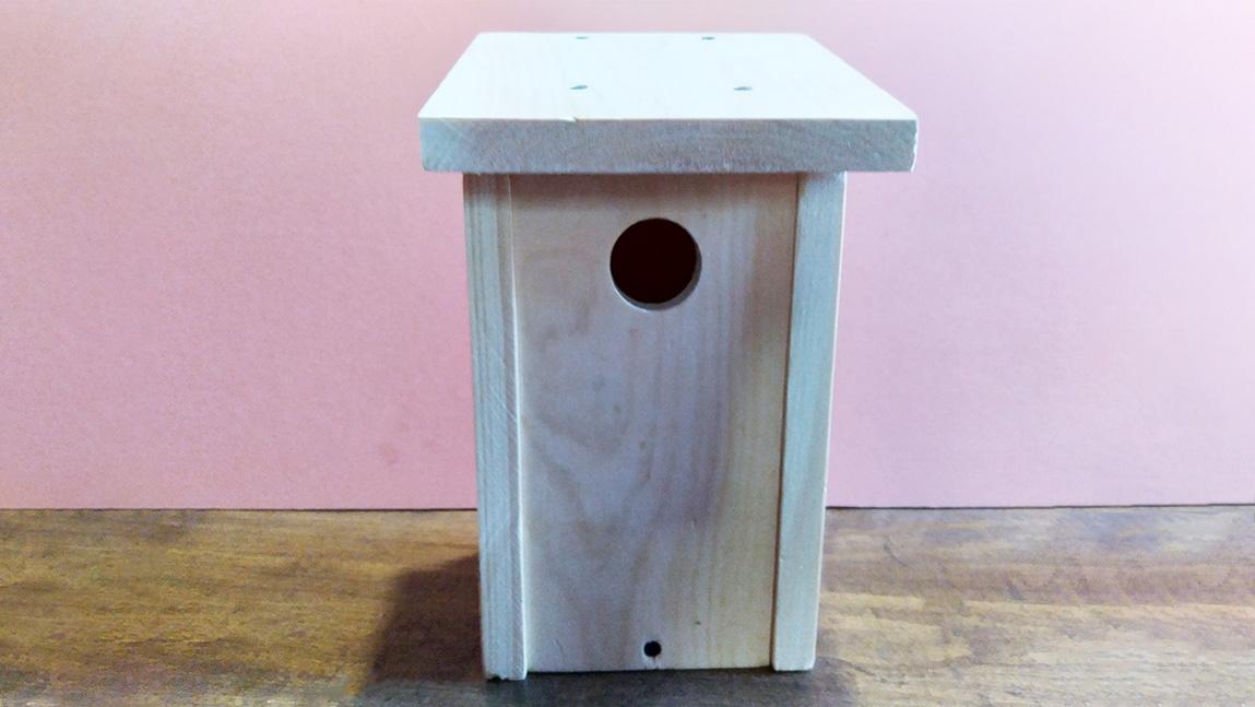 Building a Bluebird House