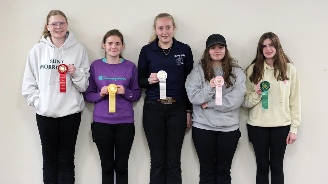 Hippology Contest Tests 4H'ers Knowledge of Horses