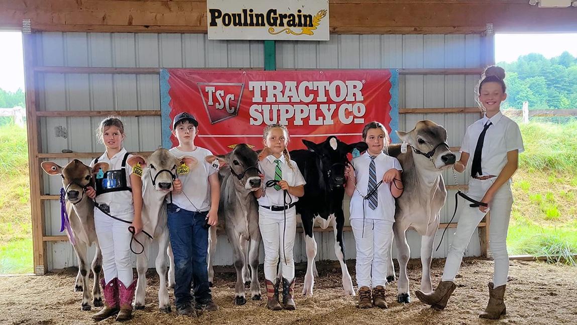 Orleans County Fairgrounds Hosts 4H Dairy Show