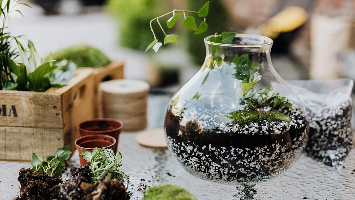 how to make a moss terrarium