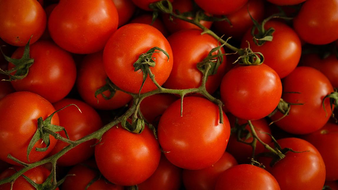 A History of Tomatoes