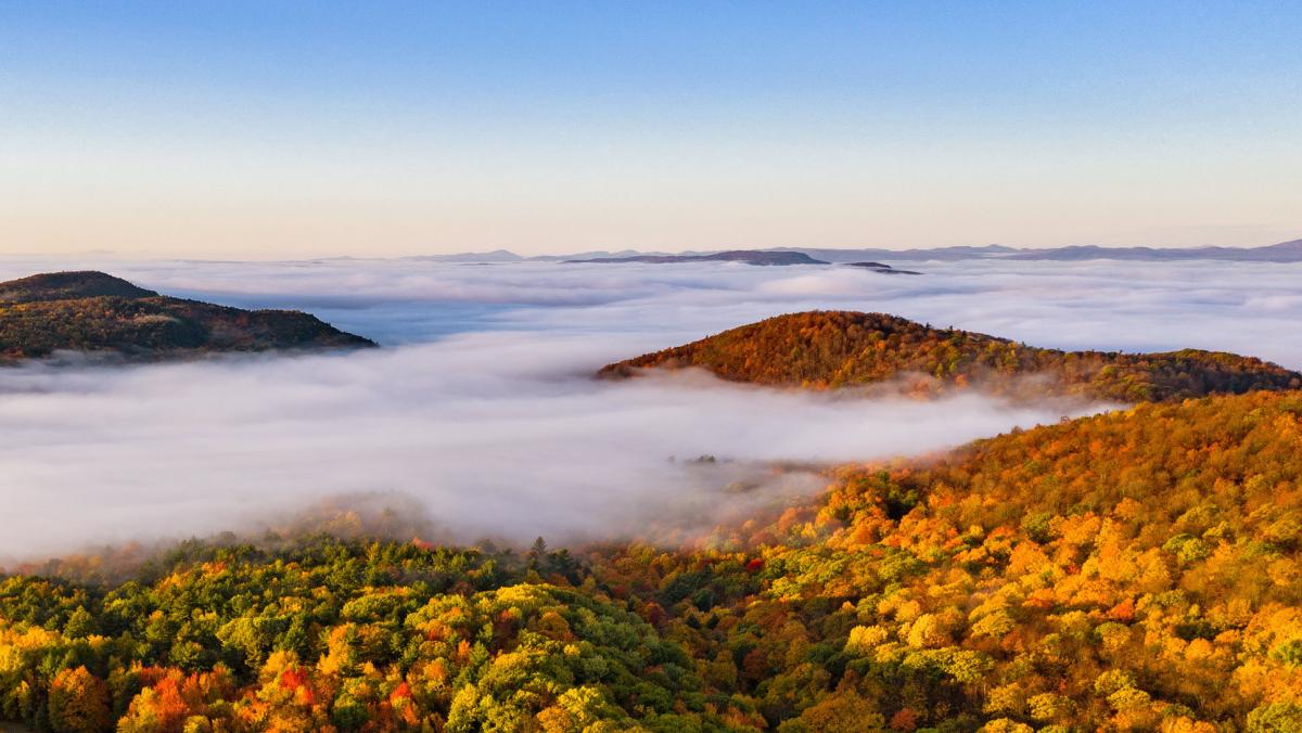 The Science of Fall Foliage and Climate Change UVM Expert