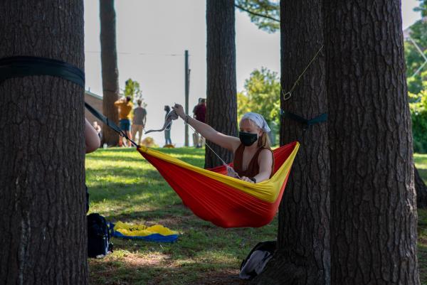 Hammock in a tree new arrivals