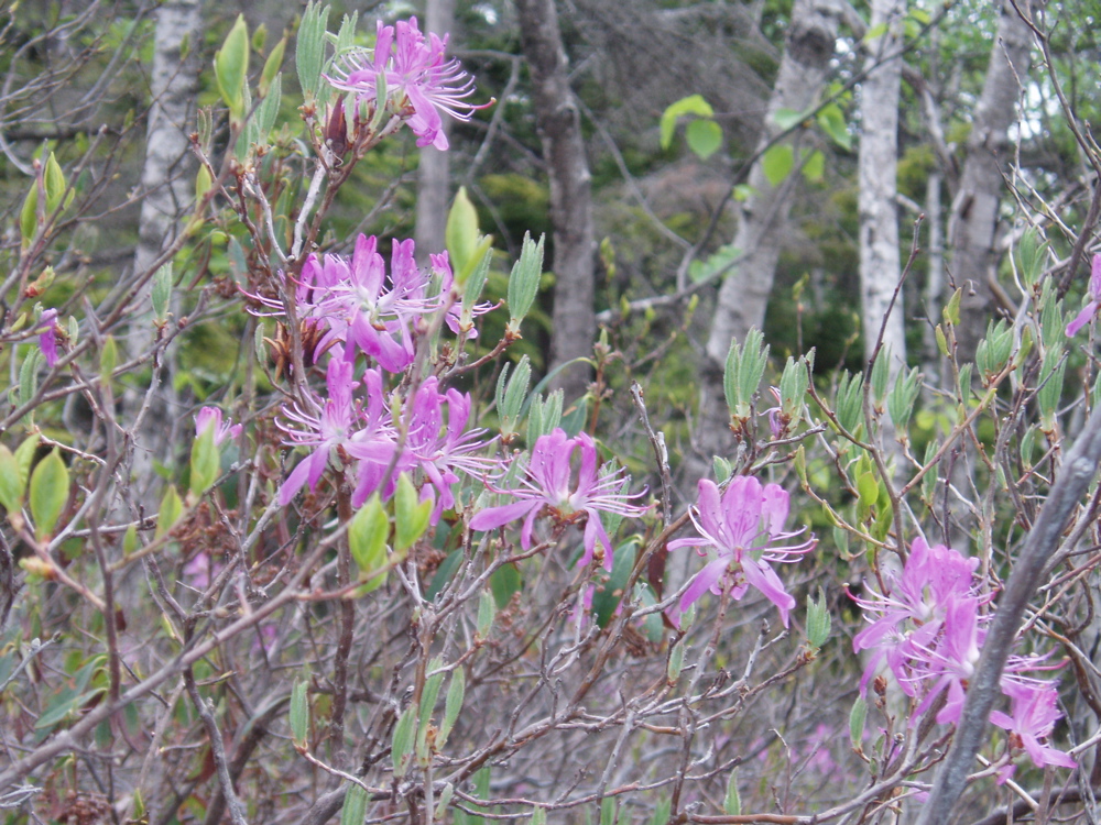 P5270021