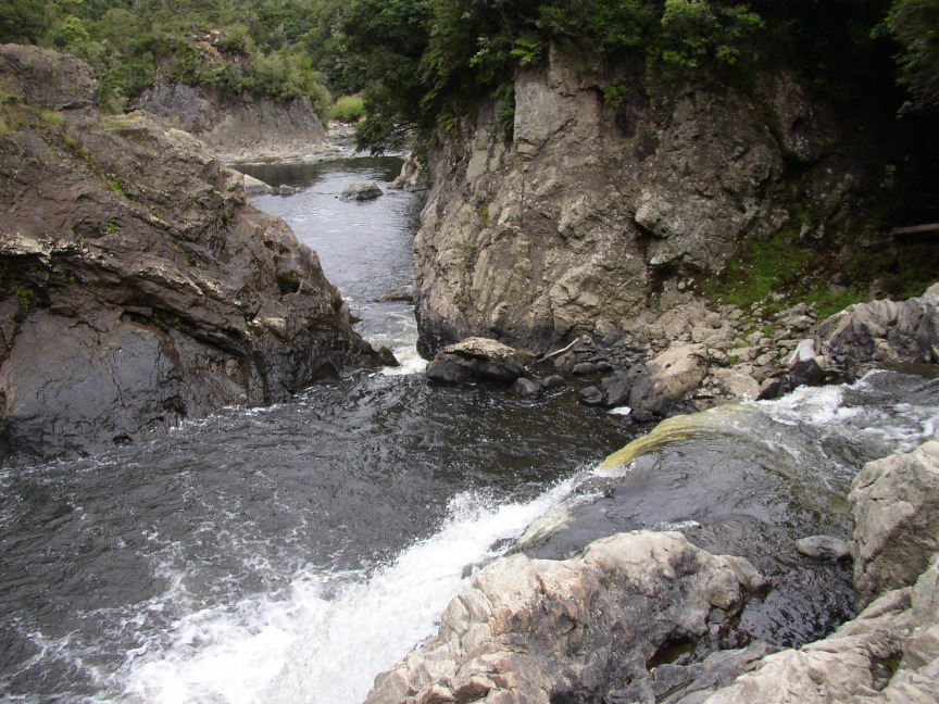 P1010007_2