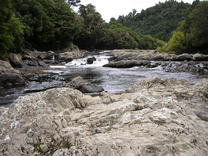 P1010008_2