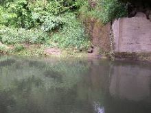P6100070