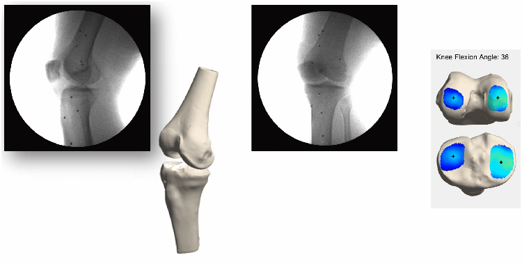 GIF of bending joint