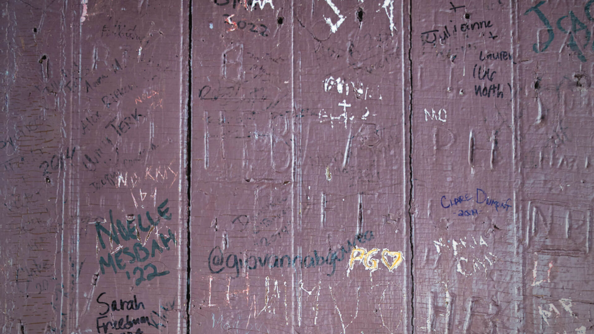 signatures written in pen, marker, and carved into a wood wall