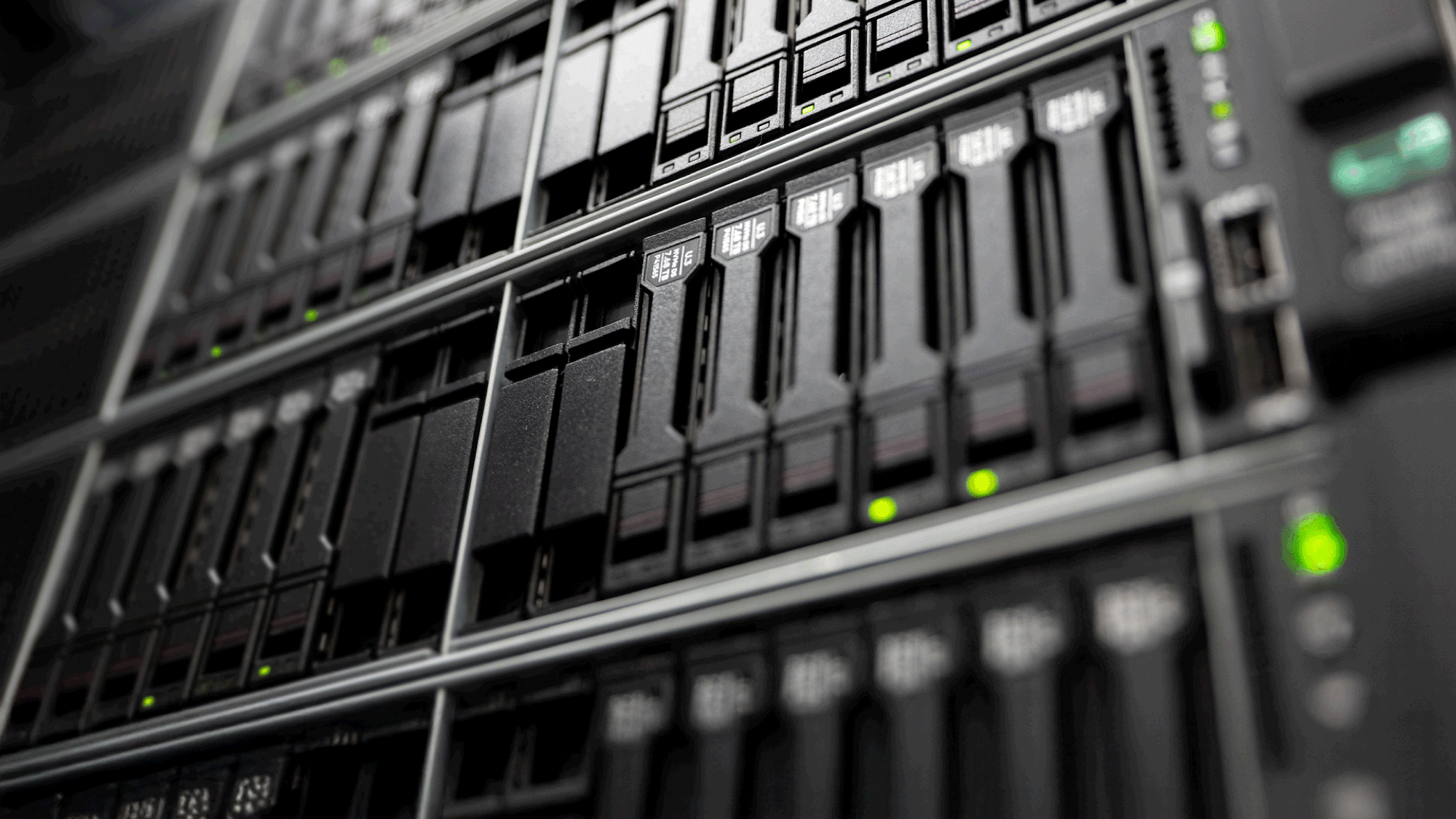 close-up view of computer processors