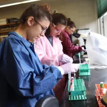 scientists working in a lab