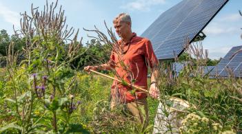 man standing in front of solar panels