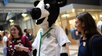 LCOM Mascot Dr. Moo and students conversing during Orientation