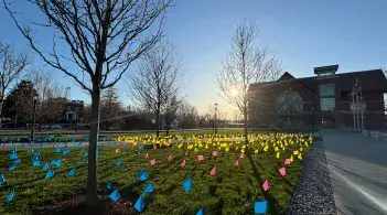 The lawn in front of the Davis Center filled with blue, pink, and yellow flags as part of a display for Sexual Violence Awareness Month 2024.