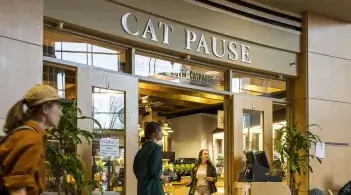 The exterior of the Cat Pause store in the davis center