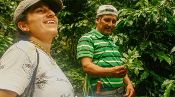 AlePRChiapas