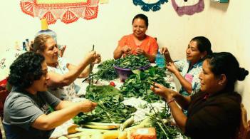FoodSov_Chiapas