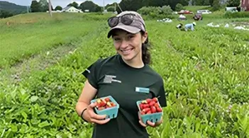 A person holding a cup of strawberries 