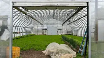 Interior of a greenhouse