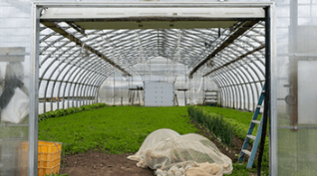 Interior of a greenhouse