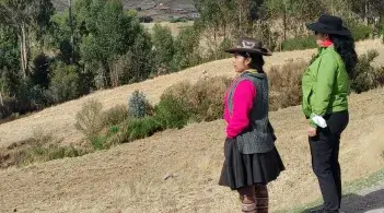 Researchers in field